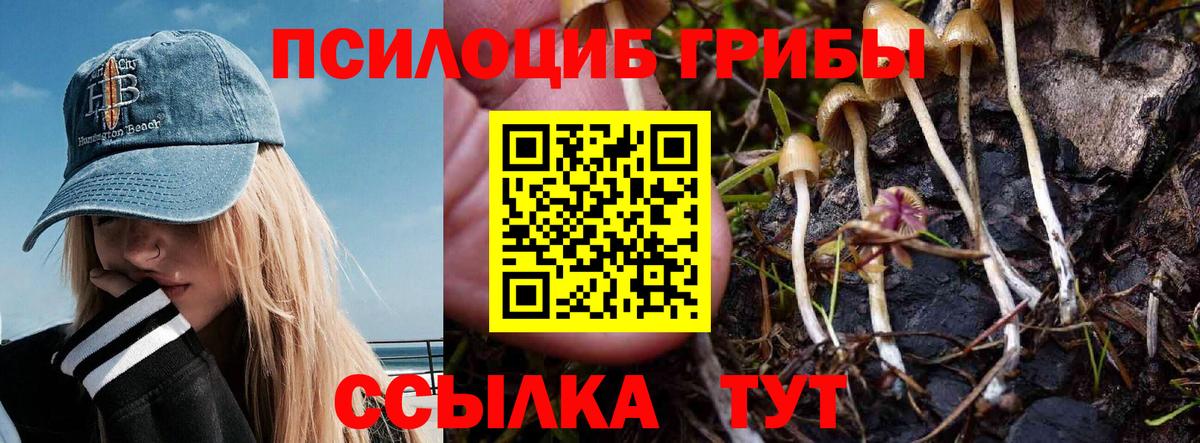 Галлюциногенные грибы Psilocybe  купить   Обь  Вход с VPN  Галлюциногенные грибы Magic Shrooms 