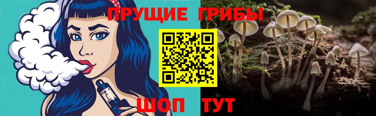 Галлюциногенные грибы мухоморы Обь